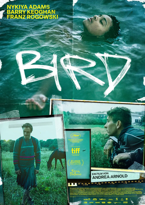 Bird Plakat