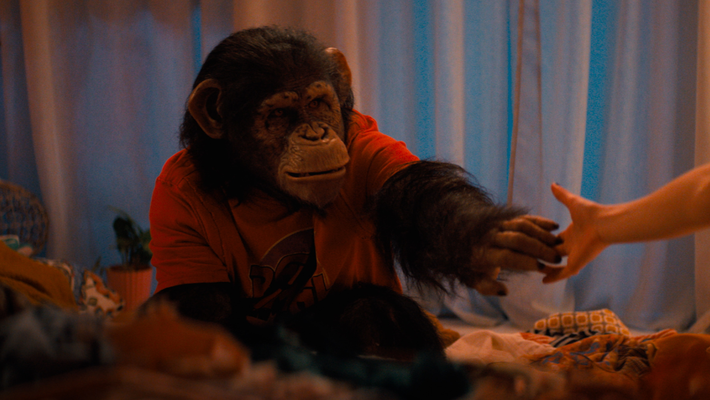 Primate Vorschaubild des Trailers